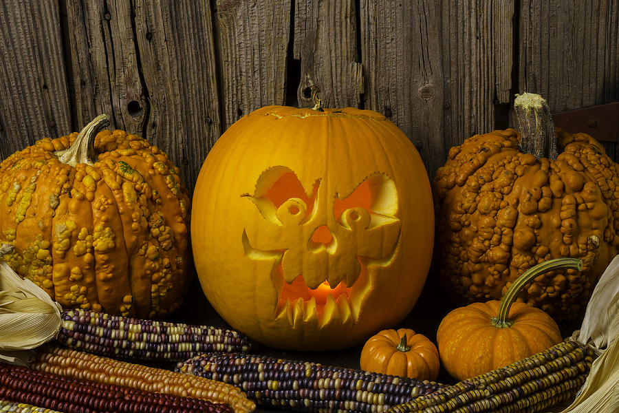 Halloween Photograph - Carved Pumpkin And Indian Corn by Garry Gay