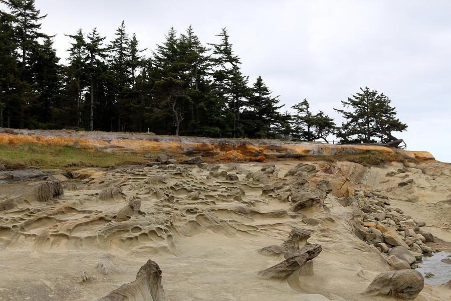 Carved Sandstone along the Oregon Coast - 2 Photograph by Christy Pooschke