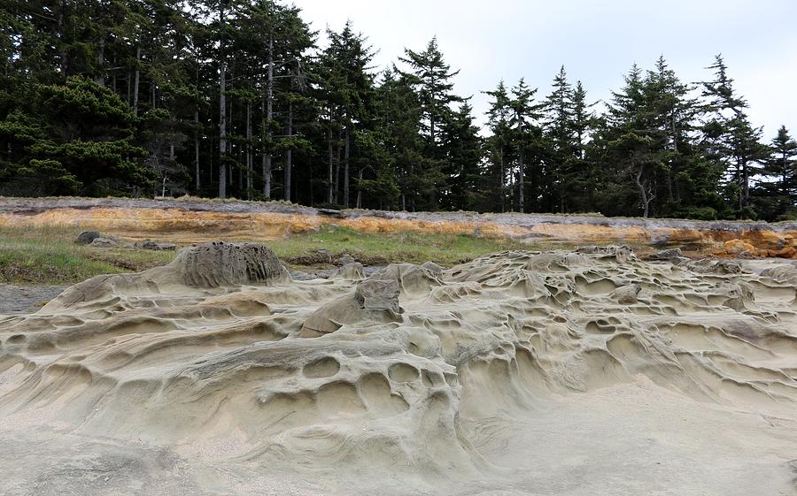 Carved Sandstone along the Oregon Coast - 3 Photograph by Christy Pooschke