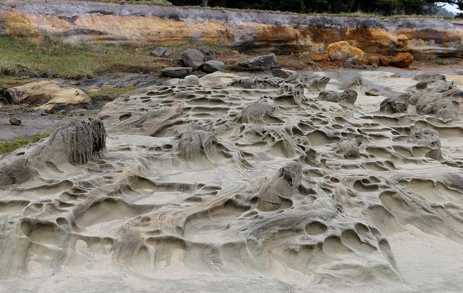 Carved Sandstone along the Oregon Coast - 4 Photograph by Christy Pooschke