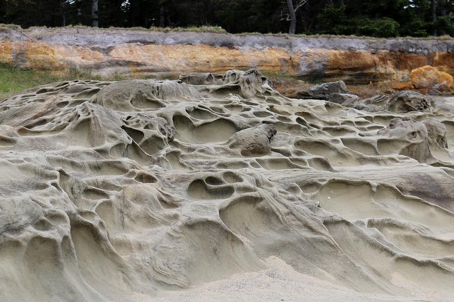 Carved Sandstone along the Oregon Coast - 5 Photograph by Christy Pooschke