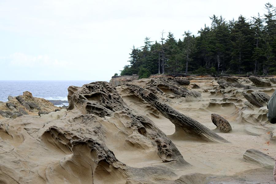 Carved Sandstone along the Oregon Coast  Photograph by Christy Pooschke