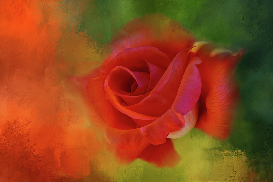 Cary Grant Rose Digital Art by Terry Davis