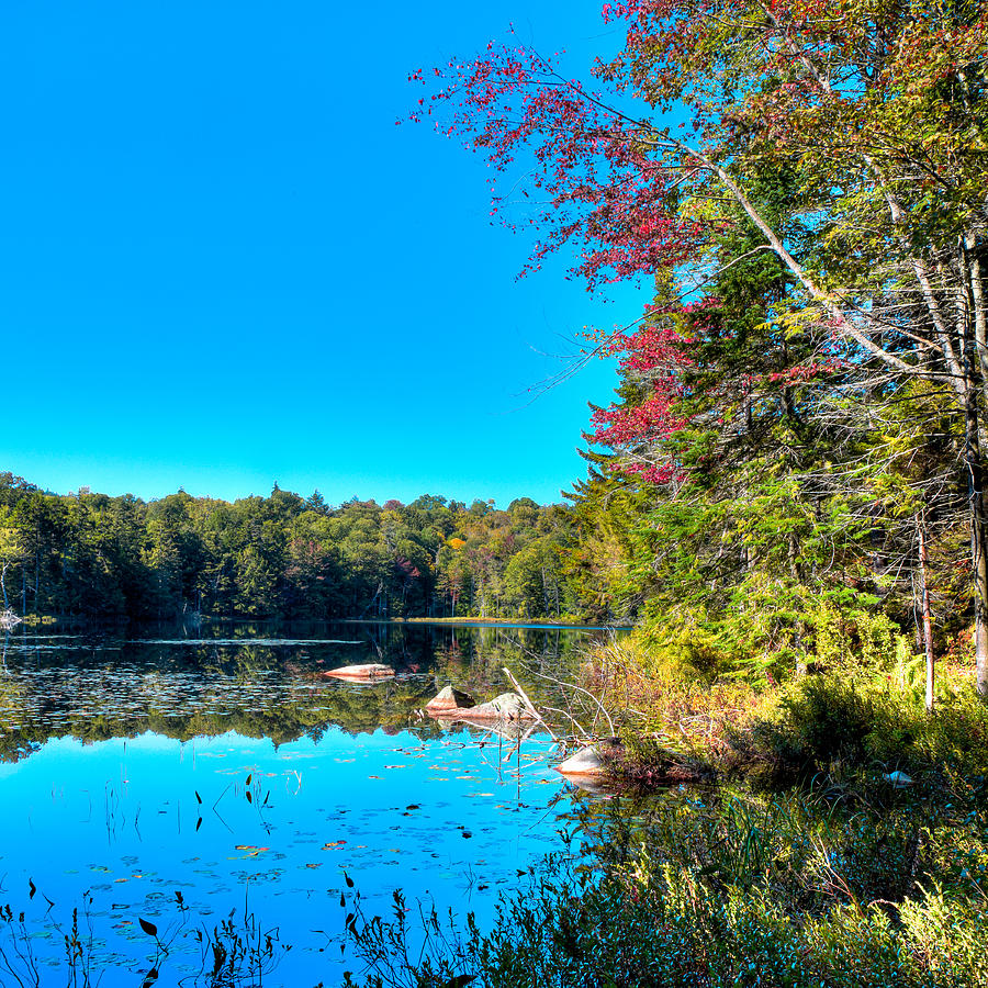 Mountain Photograph - Cary Lake - September 2015 by David Patterson