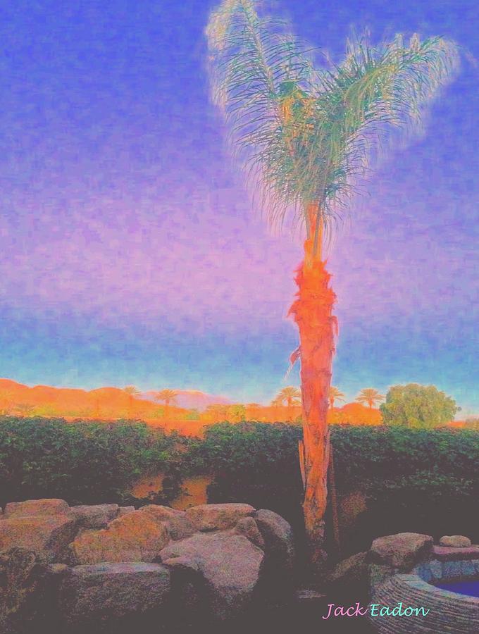 Palm Photograph - CasaPaz Palm at Dawn by Jack Eadon Palm Photograph - CasaPaz Palm at Dawn by Jack Eadon