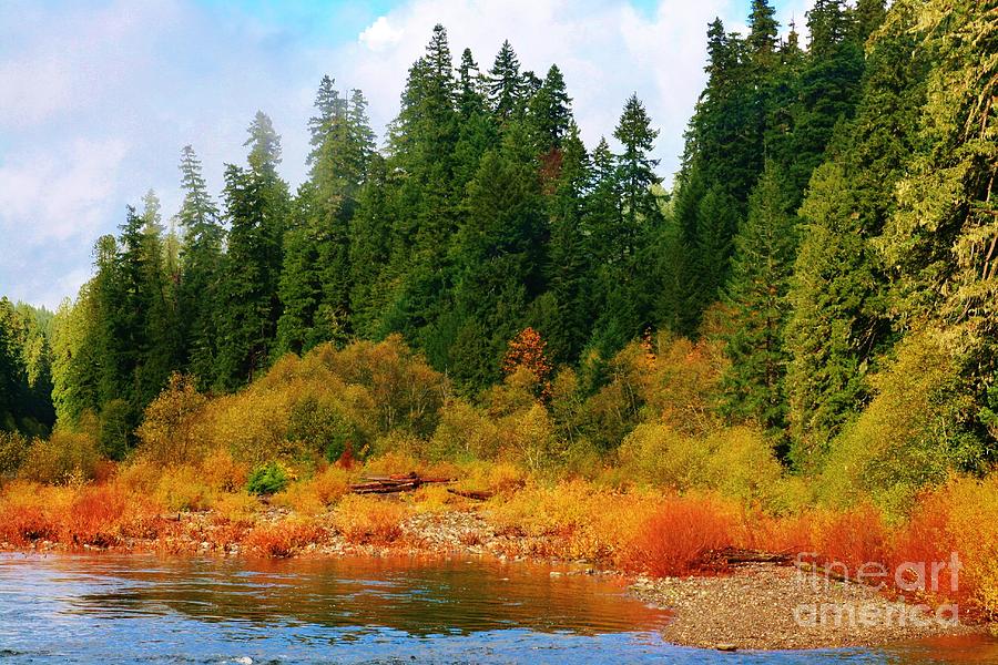 Cascade Autumn Photograph by Sheila Ping