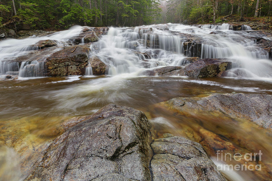 Nature Photograph - Cascade Brook - Lincoln New Hampshire by Erin Paul Donovan