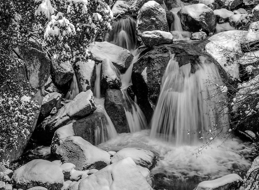 Yosemite National Park Photograph - Cascade Creek in Black and White by Bill Gallagher