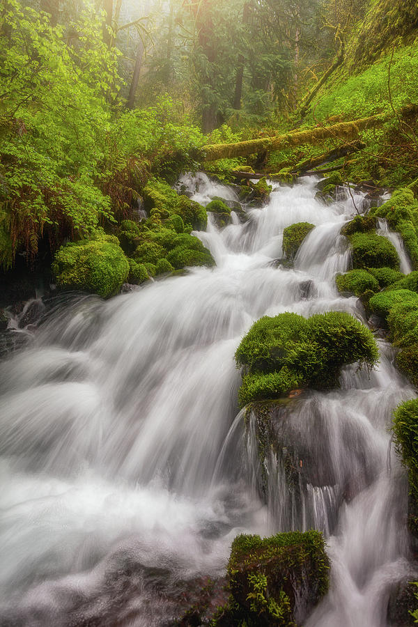 Cascade Dreaming Photograph by Darren White