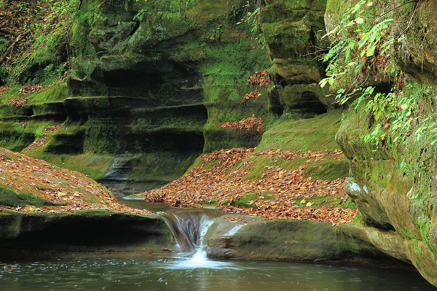 Cascade in Illinois Canyon 1 at Starved Rock State Park Photograph by ...