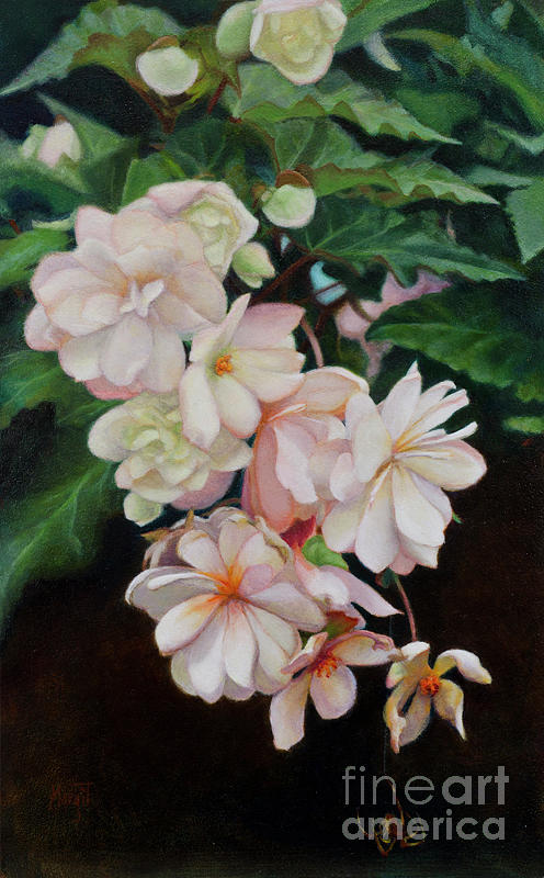 Nature Painting - Cascade Of Begonias  by Margit Sampogna