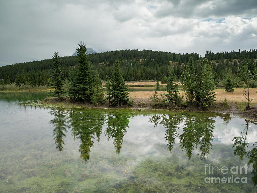 Cascade Ponds 3 by Patricia Gould Cascade Ponds 3 by Patricia Gould