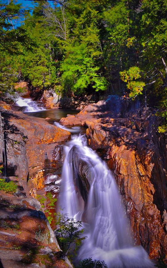 Waterfall Photograph - Cascade Stream on Gorge Trail by Dennis Nelson