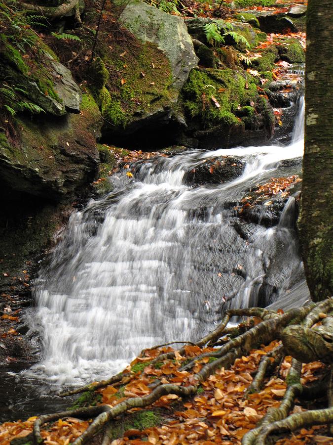 Cascade Through Autumn Leaves Photograph By Carol Mcgrath