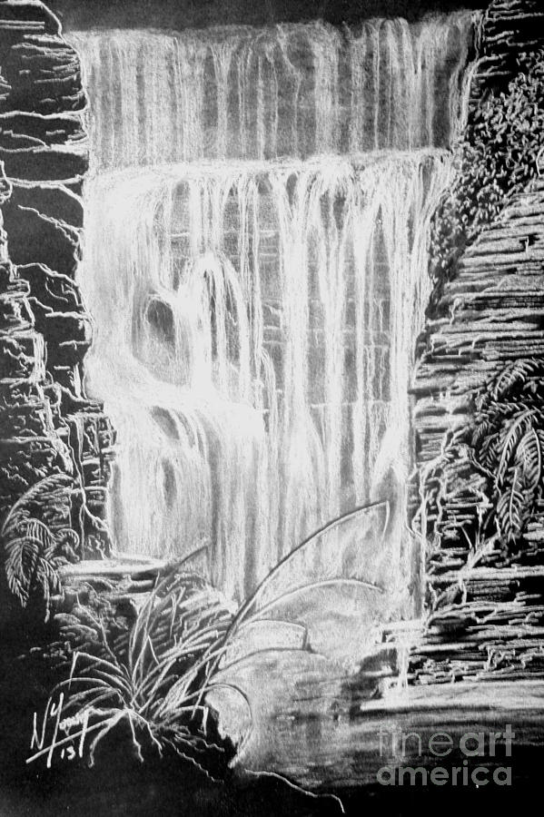 Waterfall Drawing - Cascade by William Young