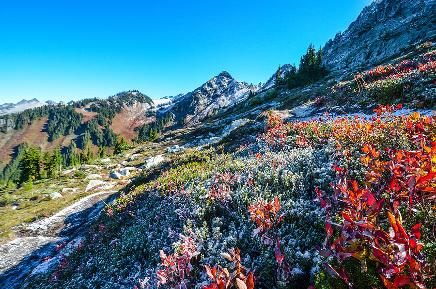 Cascades Delight Photograph by David Galenski - Fine Art America