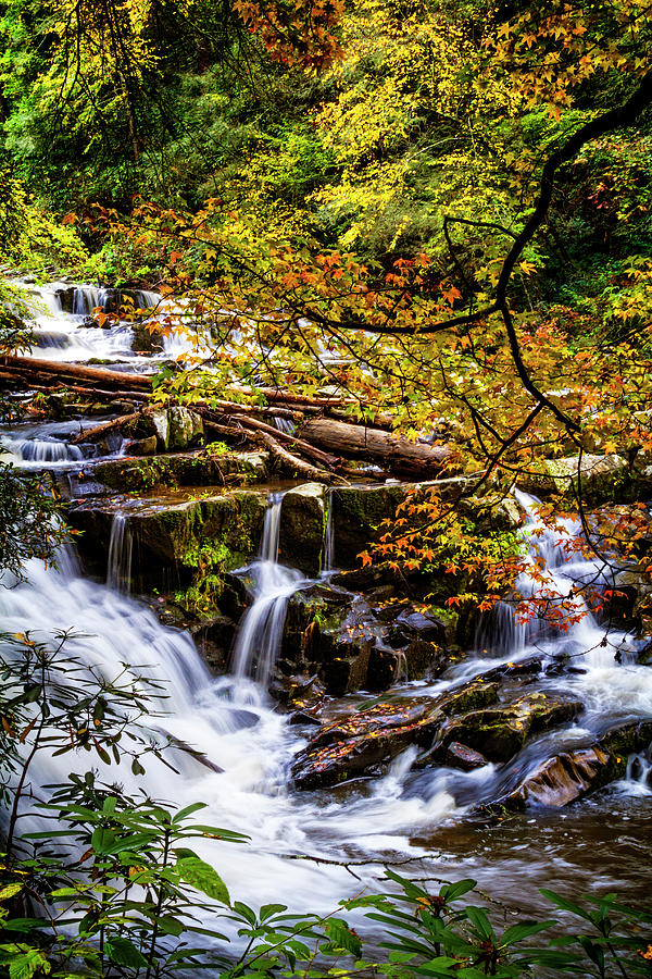 Cascades in Autumn Photograph by Debra and Dave Vanderlaan