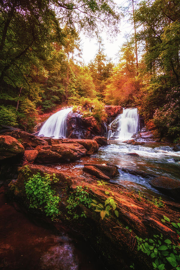 Cascades in the Forest Photograph by Debra and Dave Vanderlaan