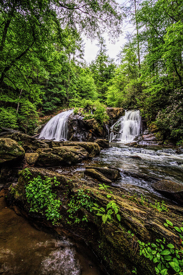 Cascades in the Forest in Summer Photograph by Debra and Dave Vanderlaan