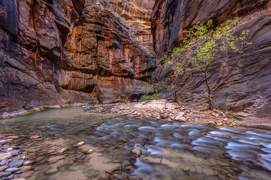 Cascades in the Narrows of Zion Photograph by Pierre Leclerc Photography