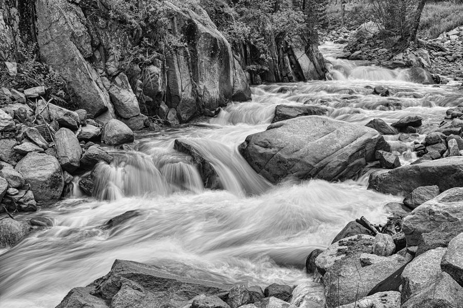 Cascading Colorado Rocky Mountain Stream BW Photograph by James BO Insogna