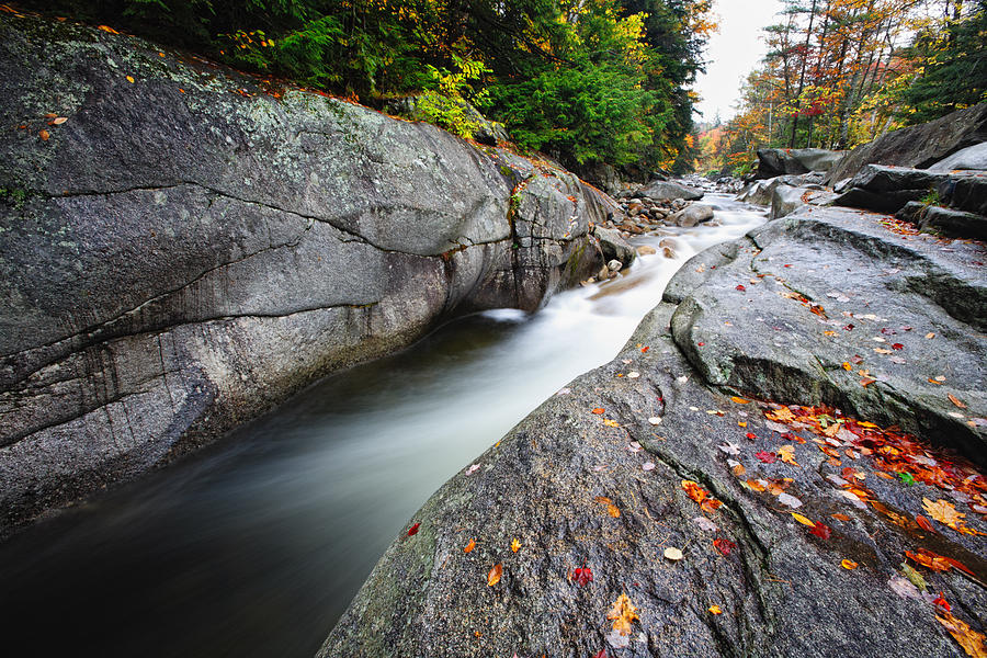 Fall Photograph - Cascading Creek by George Oze