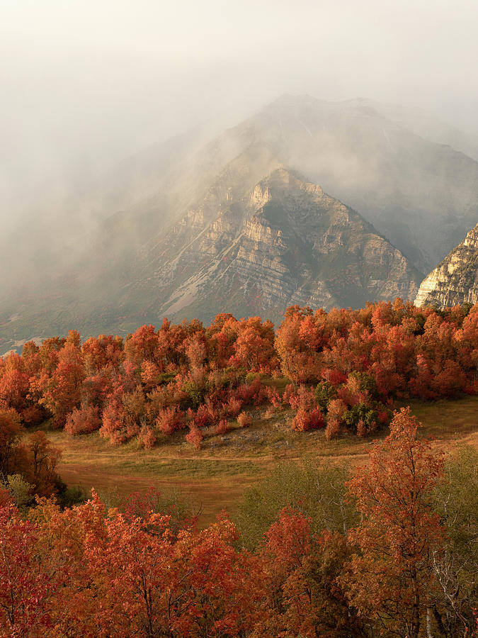 Cascading Fall Photograph by Emily Dickey