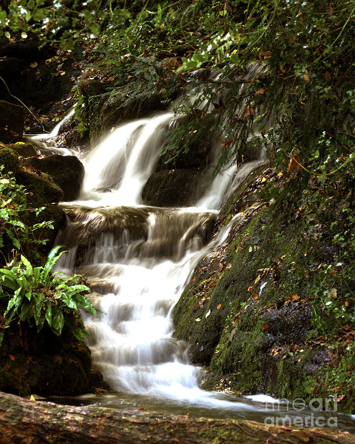 Cascading Falls Photograph by Stephen Melia
