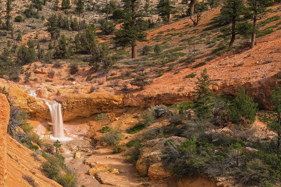  Cascading Jewel Of Bryce Canyon Photograph by Angelo Marcialis