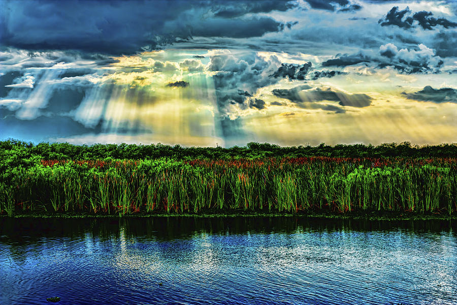 Cascading Light Photograph by Roberto Aloi