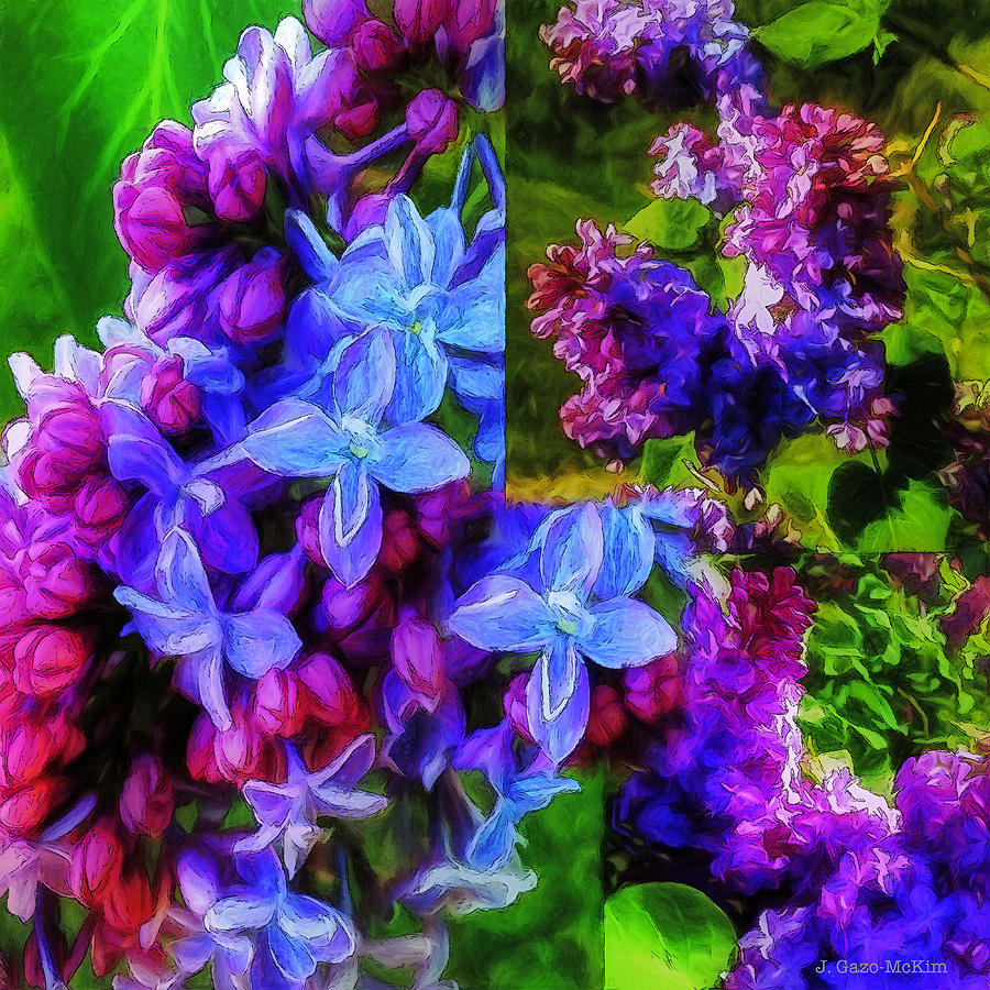 Cascading Lilacs Digital Art by Jo-Anne Gazo-McKim