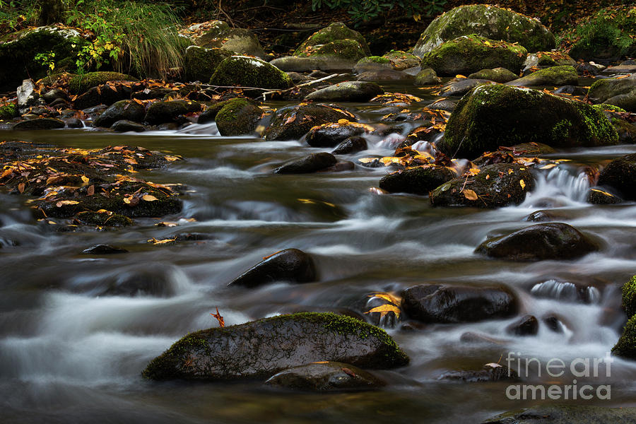 Cascading Stream 1 Photograph by Doug Sturgess