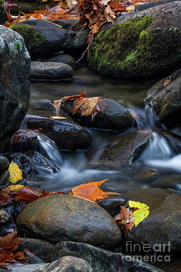 Cascading Stream 2 Photograph by Doug Sturgess
