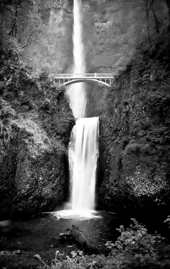 Cascading Waterfall Multnomah Falls Photograph by Athena Mckinzie
