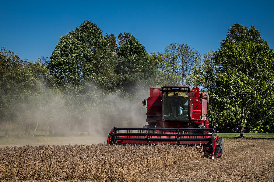 Case IH Bean Harvest Photograph by Ron Pate