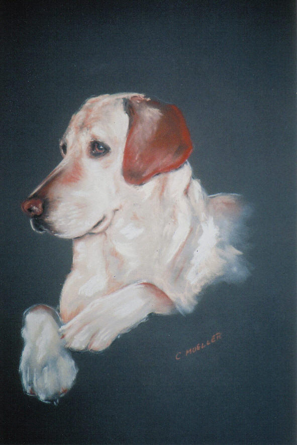 Dog Painting - Casey by Carol Mueller