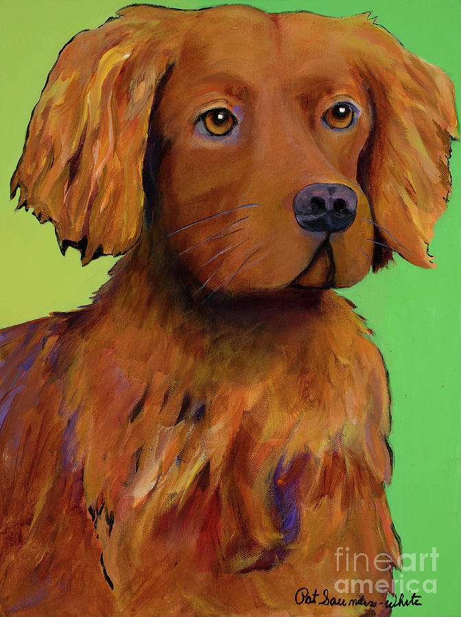 Red Setter Painting - Cash by Pat Saunders-White