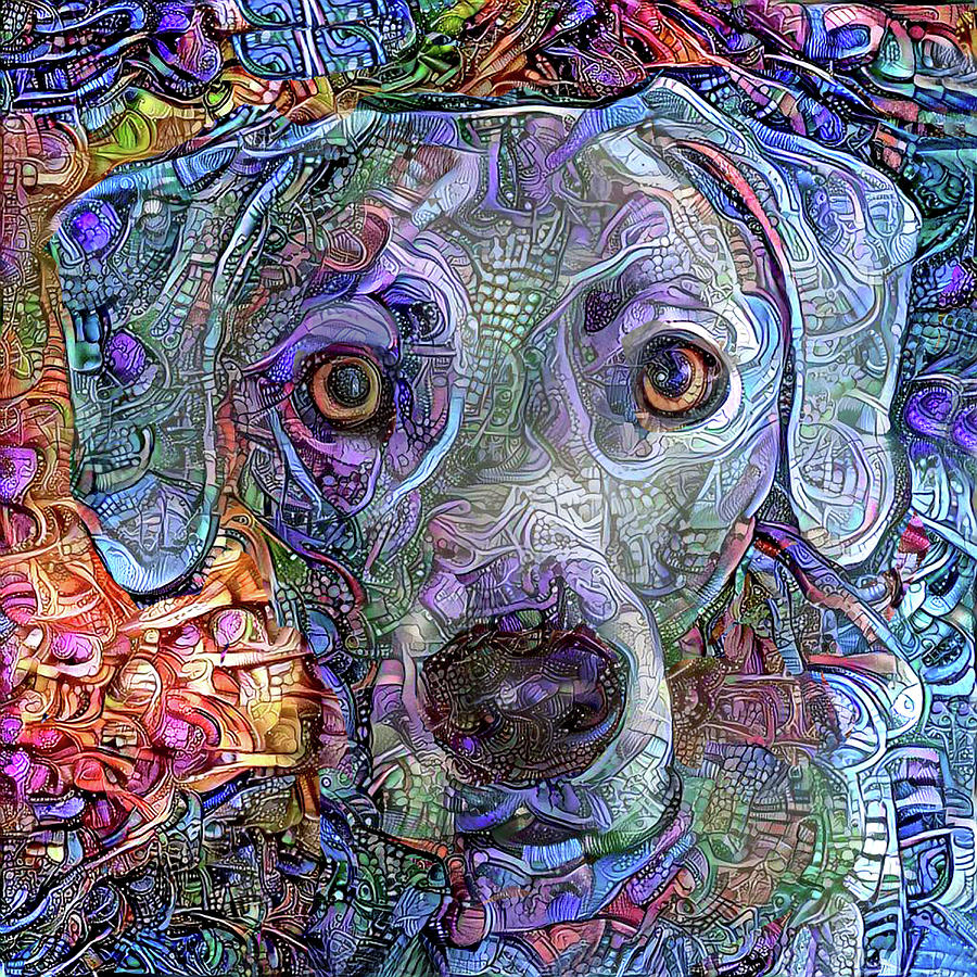 Cash the Blue Lacy Dog Closeup Mixed Media by Peggy Collins