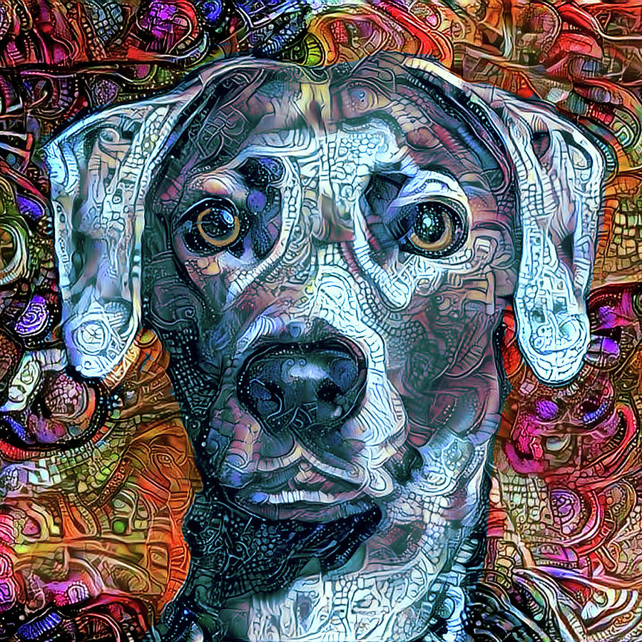 Cash the Blue Lacy Dog - Cropped Mixed Media by Peggy Collins