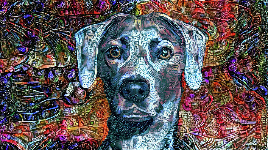 Cash the Blue Lacy Dog Digital Art by Peggy Collins Cash the Blue Lacy Dog Digital Art by Peggy Collins