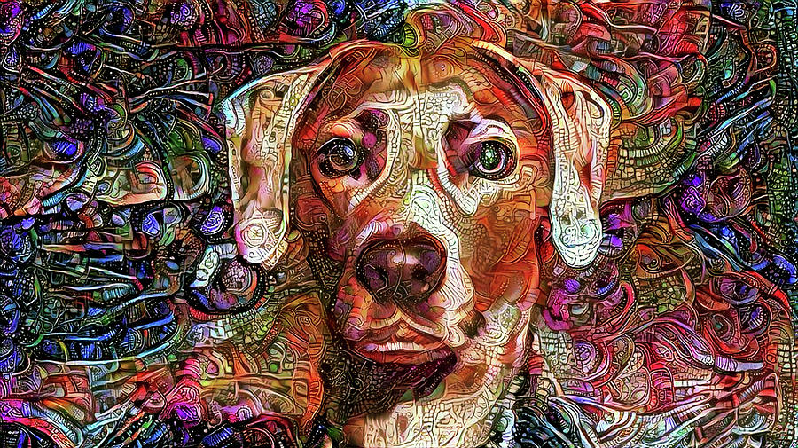 Cash the Lacy Dog Mixed Media by Peggy Collins