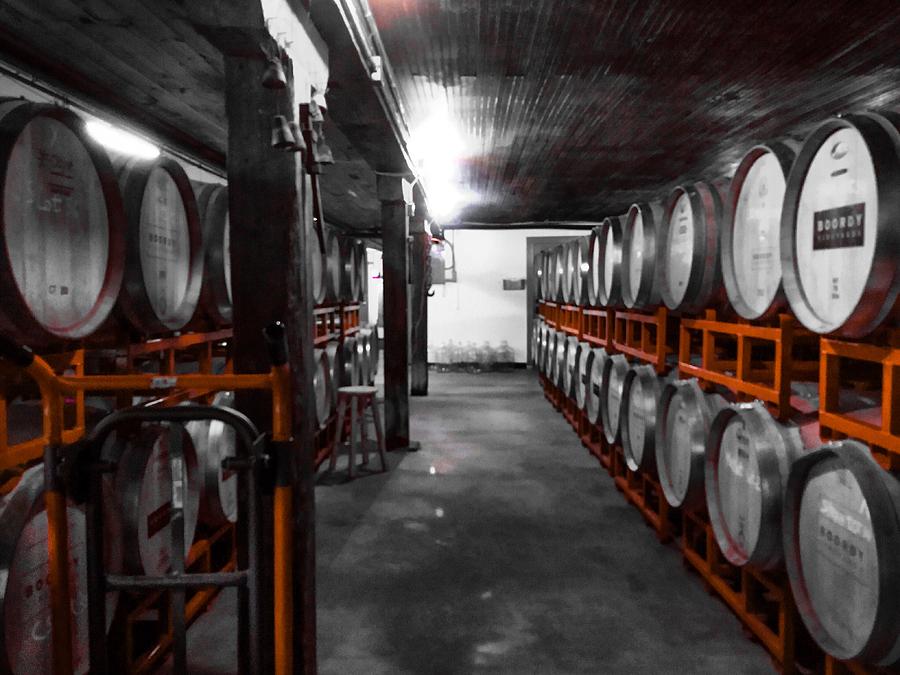 Casks of Wine Photograph by Chris Montcalmo