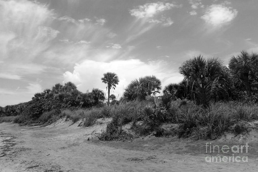 Caspersen Sand Dunes Photograph by Robert Wilder Jr