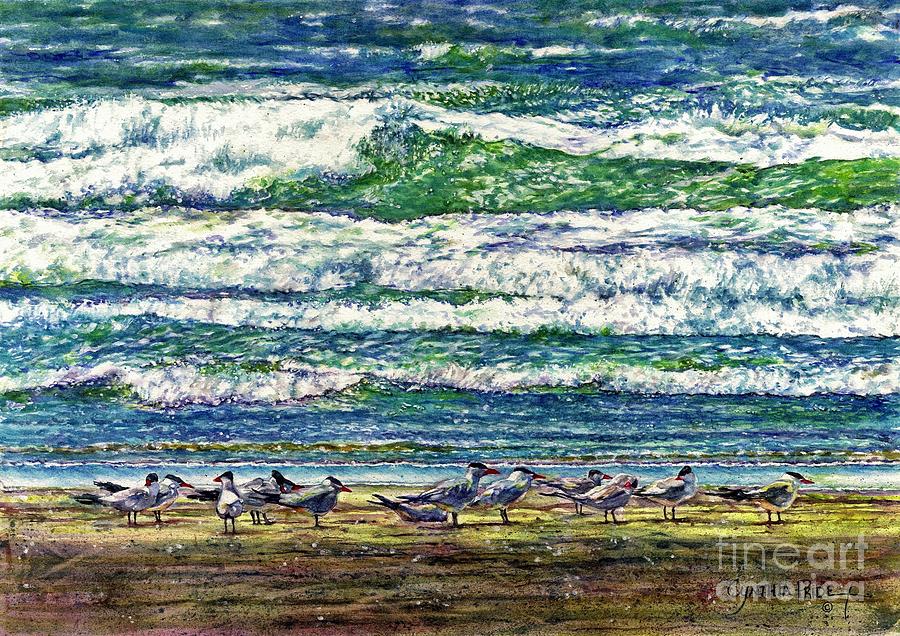 Caspian Terns by the Ocean Painting by Cynthia Pride