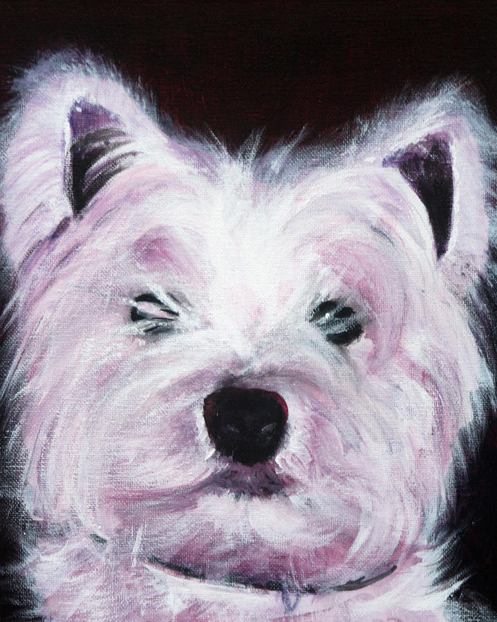Dog Painting - Cassie by Fiona Jack   