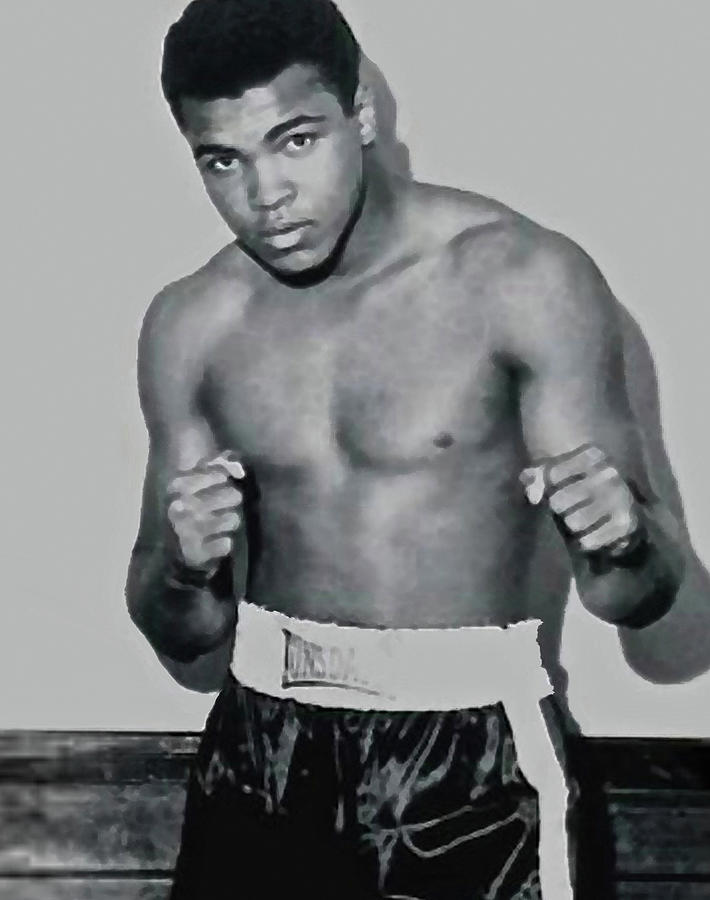 cassius marcellus clay jr