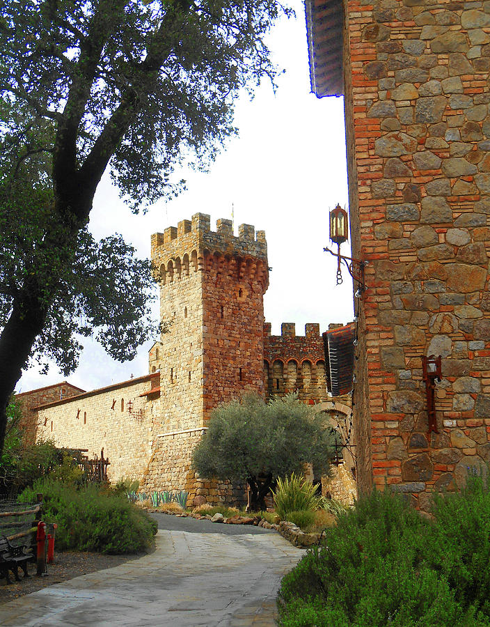 Castello Di Amorosa Napa Valley California Photograph by ...
