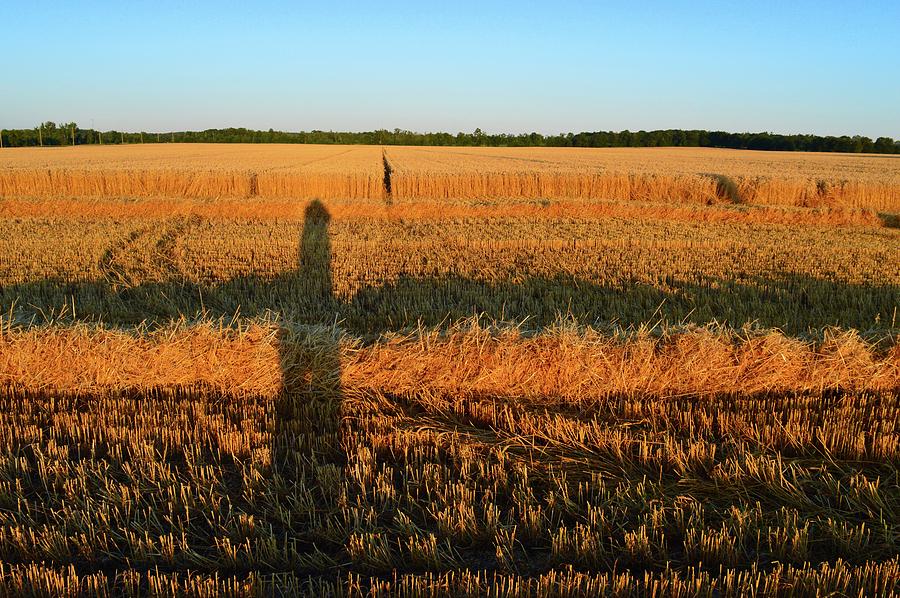 Casting A Shadow On The Land  Photograph by Lyle Crump