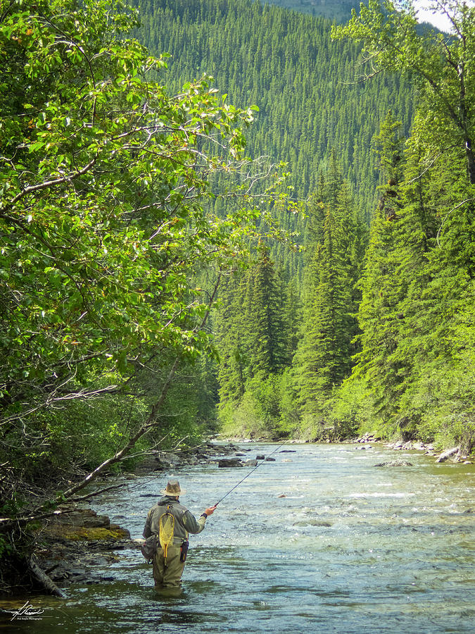 Tree Photograph - Casting to Cutthroats on the Oldman River by Phil And Karen Rispin