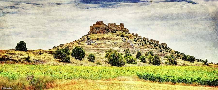 Castle above the Sunflowers - Vintage Version Photograph by Weston Westmoreland